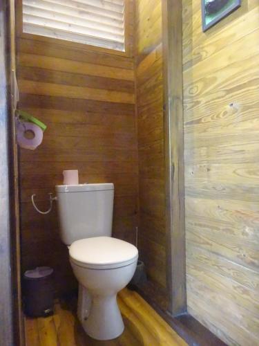 a bathroom with a toilet and a wooden wall at Le matelot de la baie in Deshaies