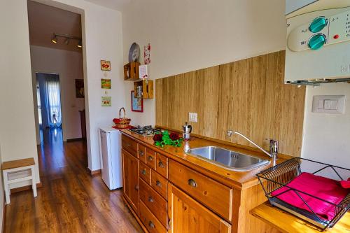 uma cozinha com um lavatório e uma bancada de madeira em Anamonì Bed and Relax em Benevento