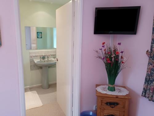 a bathroom with a sink and a tv on the wall at Magpie Cottage in South Brewham