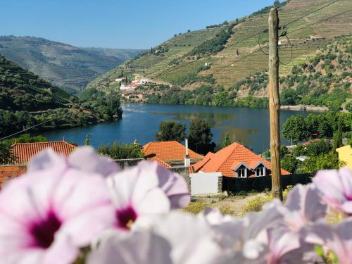 - une vue sur la rivière et les montagnes avec des fleurs roses dans l'établissement Casa Nunes, à Pinhão