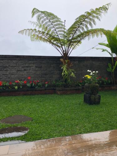a garden with a palm tree and a brick wall at BUYAN LODGE lake view villa in Bedugul