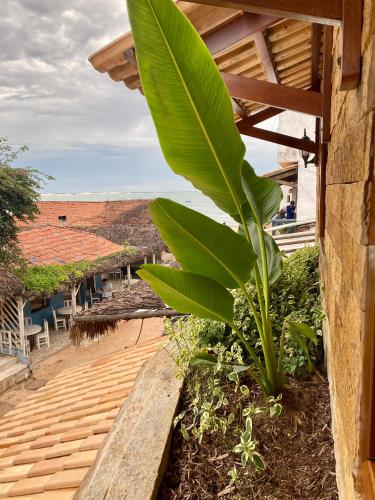 a wooden bench sitting on the side of a building with a plant at Acoara PRAIA in Jericoacoara