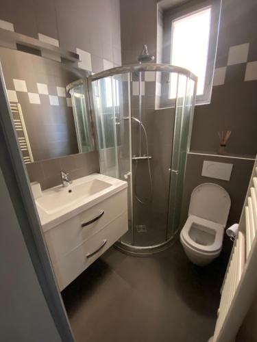 a bathroom with a shower and a sink and a toilet at Elegant appartement Trocadéro in Paris