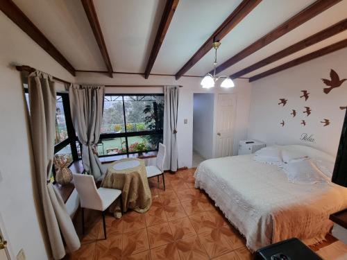 1 dormitorio con cama y ventana grande en Posada Verde Natura, en Viña del Mar