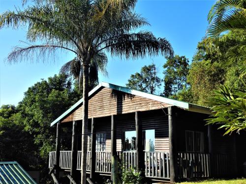 a house with a palm tree in front of it at Impala Niezel Lodge & Guest House in Hazyview