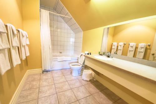 a bathroom with a toilet and a sink and a mirror at Glenghorm Beach Resort in Ingonish