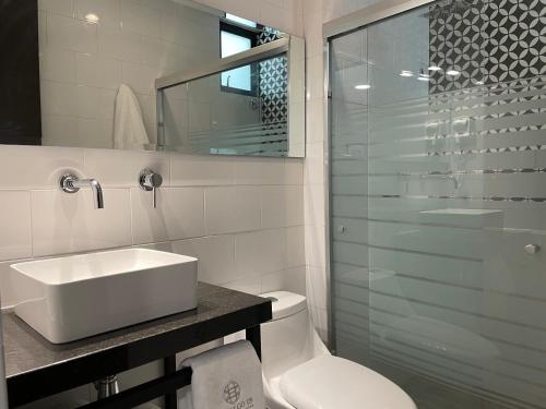 薩卡特卡斯的住宿－HIDALGO 119 - TERRAZA Y SUITES，浴室配有卫生间、盥洗盆和淋浴。