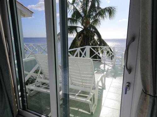 a balcony with chairs and a palm tree and the ocean at Breathtaking View - Playa Lagun - Curacao in Lagun
