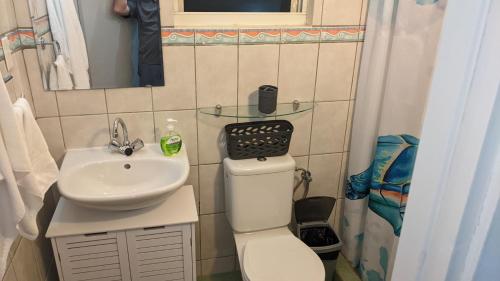 a small bathroom with a toilet and a sink at Breathtaking View - Playa Lagun - Curacao in Lagun
