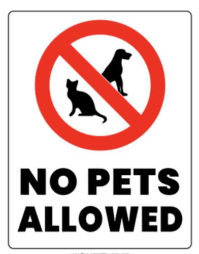 a sign that says no pets allowed with a black cat at Byer Fountain Motor Inn in Holbrook