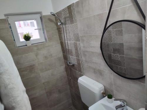 a bathroom with a shower and a toilet with a mirror at GARSONIERA DANIA&PETRU in Tîrgu Ocna