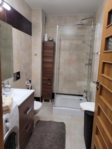 Koupelna v ubytování Apartament Anna