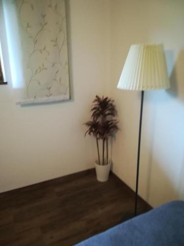 a room with a lamp and a plant in it at Ferienwohnung Familie Fiechtl in Fügenberg