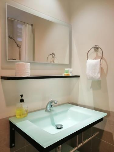 a bathroom with a sink and a mirror at City Tropical Home I in George Town