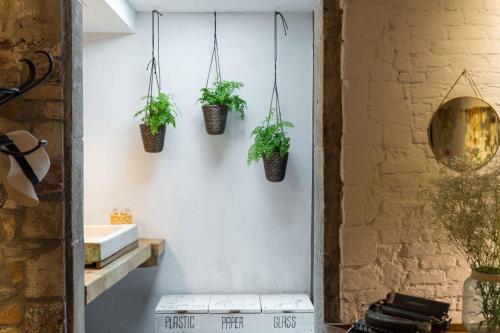 Φωτογραφία από το άλμπουμ του Eco Boutique Hostal Grau στη Βαρκελώνη