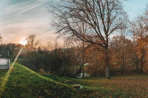 a grassy hill with a tree in a park at Le Mirador in Lasne