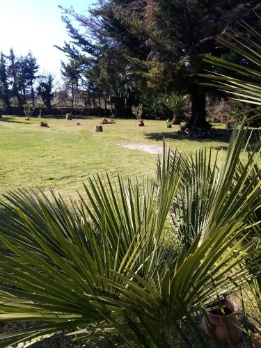 Giardino di Mamena