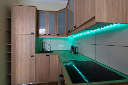 a kitchen with green lights on the counters at HOT RIGA ERNESTINES 7-2 Enjoy the feel of home and history! in Rīga