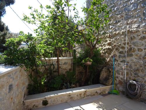 Κήπος έξω από το Aspasia House