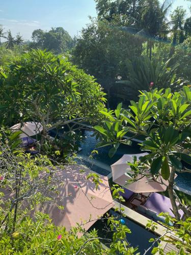 an aerial view of a garden with plants and trees at Silversand Villa in Tanah Lot