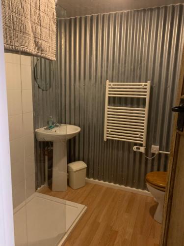 a bathroom with a sink and a toilet and a shower at Hay View Lodges - Barn End in Hay-on-Wye