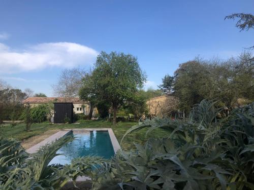 una piscina en un patio con plantas en DameChouette, en Pujols