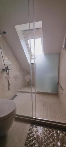 uma casa de banho com um chuveiro e um WC. em Apartman Centar Uroš em Zlatibor
