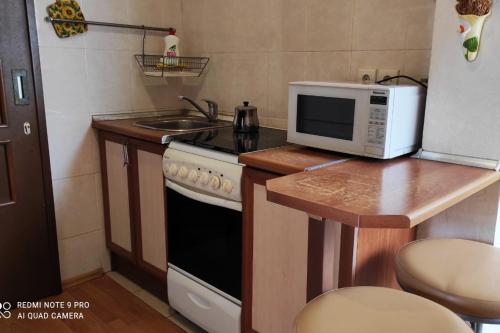 Virtuvė arba virtuvėlė apgyvendinimo įstaigoje Baku Old City Apartment