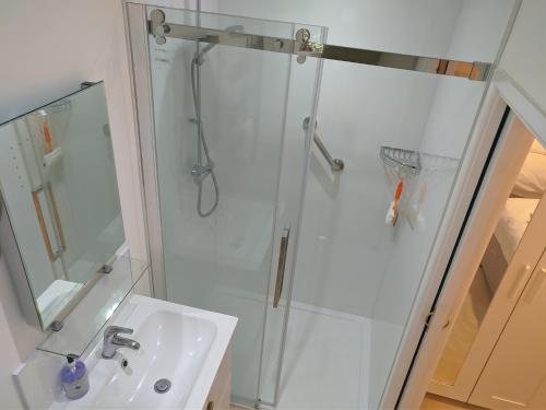 a bathroom with a shower and a sink at Darracott Farm Cottage in Welcombe