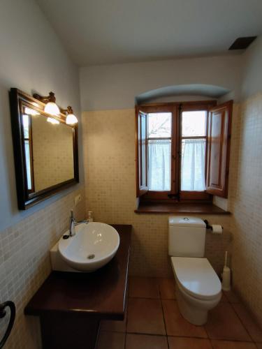 a bathroom with a toilet and a sink and a mirror at Casa Serra de Dalt in Lladurs