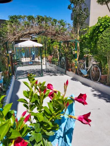 a plant with red flowers in front of a gate at Le Twins -Bed and Breakfast in Tropea
