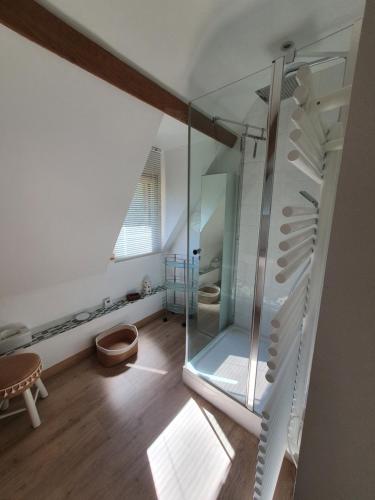uma casa de banho com uma cabina de duche em vidro e um WC. em LE CLOS JOLY 14 em Saint Gatien des Bois