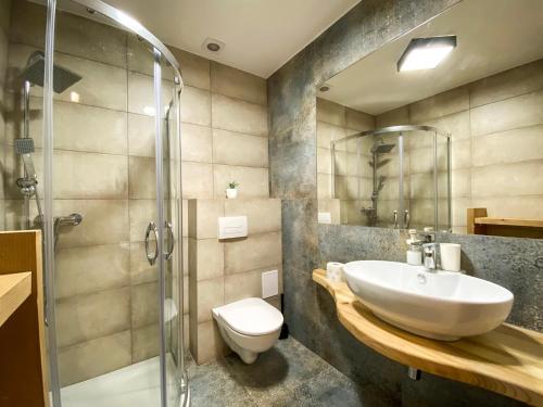 a bathroom with a sink and a shower and a toilet at Agroturystyka Pod Jodłami in Żabnica