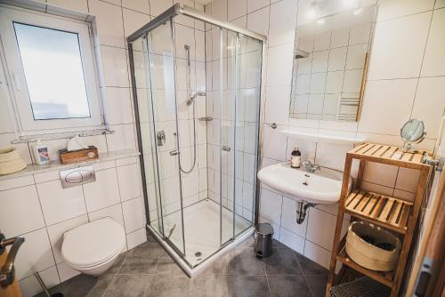 a bathroom with a shower and a toilet and a sink at Apartment pri Povhih in Slovenske Konjice