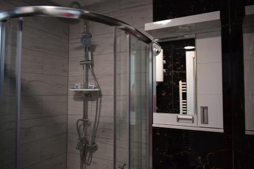 a shower in a bathroom with a mirror at Vila Memphis in Golubac
