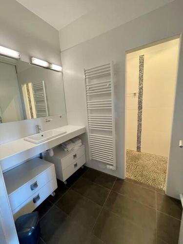 une salle de bain avec un lavabo, un miroir et une douche dans l'établissement APPART-SPACIEUX-VUE MER-4 PERS, à Propriano