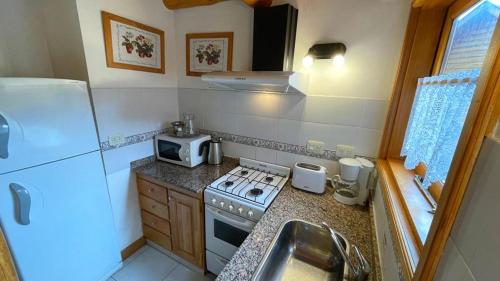 a small kitchen with a stove and a microwave at Apart Hotel del Pellin in San Martín de los Andes