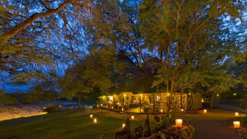 a group of lights in a garden at night at Motswari Private Game Reserve by NEWMARK in Timbavati Game Reserve