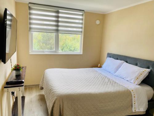 a bedroom with a bed and a window at Refugio Los Volcanes. in Osorno