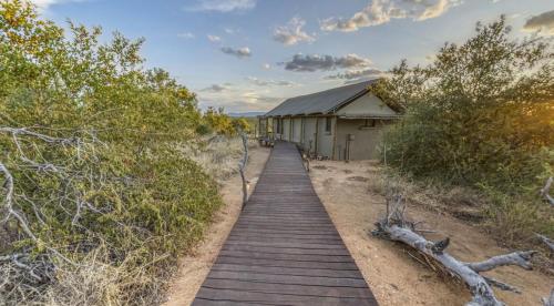 a wooden boardwalk leading to a building in the desert at Imagine Africa Luxury Tented Camp in Balule Game Reserve