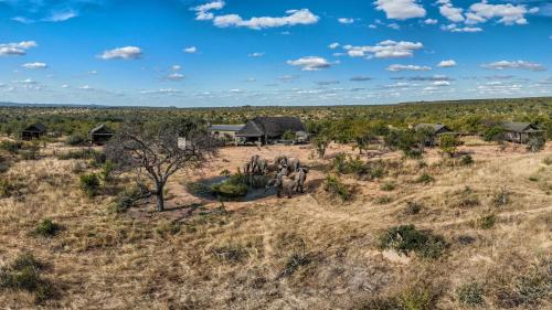 an aerial view of a herd of elephants in a field at Imagine Africa Luxury Tented Camp in Balule Game Reserve