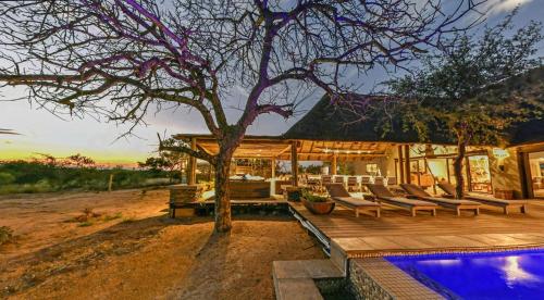 a house with a tree and a swimming pool at Imagine Africa Luxury Tented Camp in Balule Game Reserve