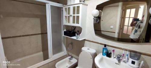 La salle de bains est pourvue d'un lavabo, de toilettes et d'un miroir. dans l'établissement WIFI Los Cisnes 2 dormitorios Primera Linea playa Ayamonte Isla Canela, à Isla Canela