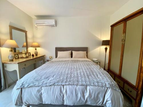 um quarto com uma cama, uma secretária e um espelho em Amazing Garden House em Atenas