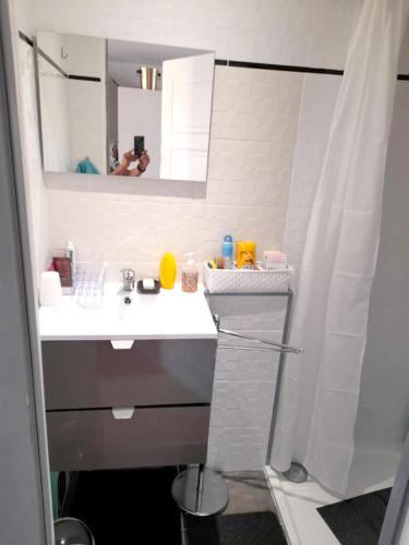 une salle de bain blanche avec un lavabo et un miroir dans l'établissement Charmante maison à Brévonnes avec jardin clôturé, à Brévonnes