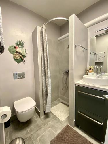 a bathroom with a toilet and a sink and a shower at Amazing Garden House in Athens