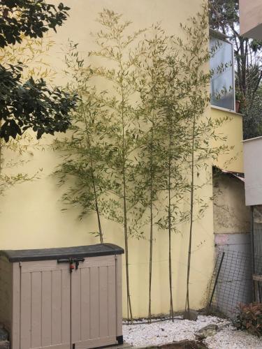 Fotografia z galérie ubytovania Bamboo cosy apartment v destinácii Kavala