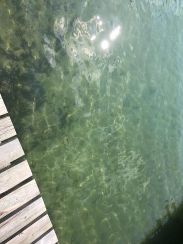 a pool of clear water next to a wooden pier at Domek na górce in Rańsk