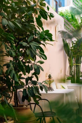 a room with a table and a potted plant at Casa Di Veneto in Hersonissos