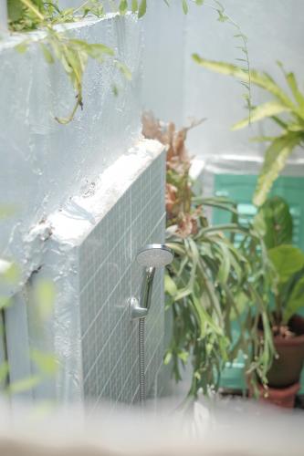 a shower in the corner of a room with plants at Abrakadabra 747 in Timuran